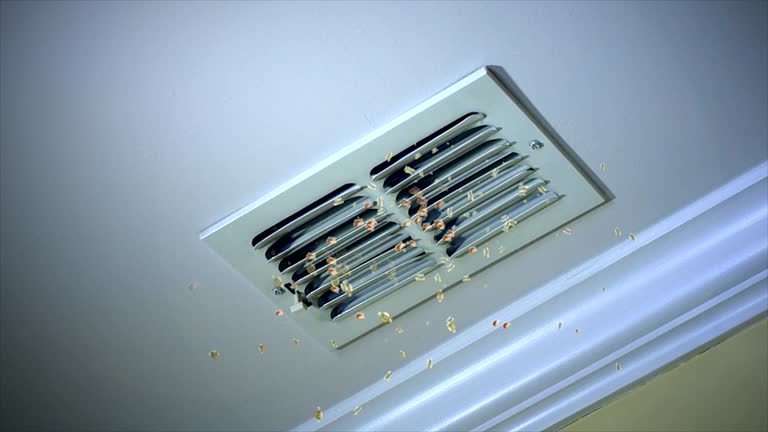 Best Residential Air Duct Cleaning  in Moss Bluff, LA